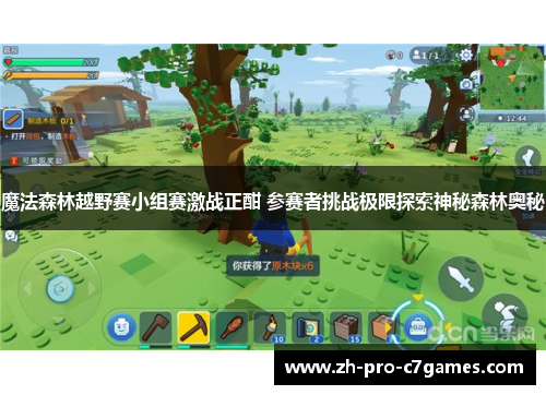 魔法森林越野赛小组赛激战正酣 参赛者挑战极限探索神秘森林奥秘