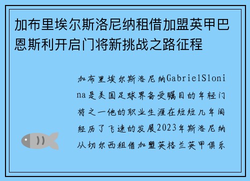 加布里埃尔斯洛尼纳租借加盟英甲巴恩斯利开启门将新挑战之路征程