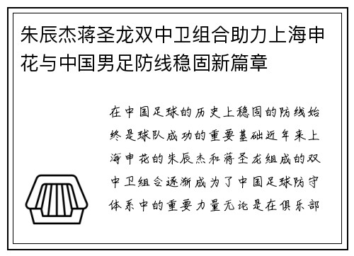 朱辰杰蒋圣龙双中卫组合助力上海申花与中国男足防线稳固新篇章